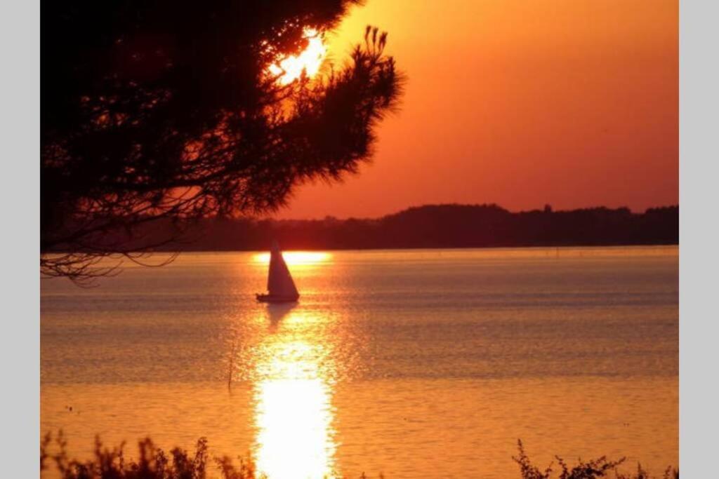 Ty Too, Dans Les Bois, Face Mer Pénestin Dış mekan fotoğraf
