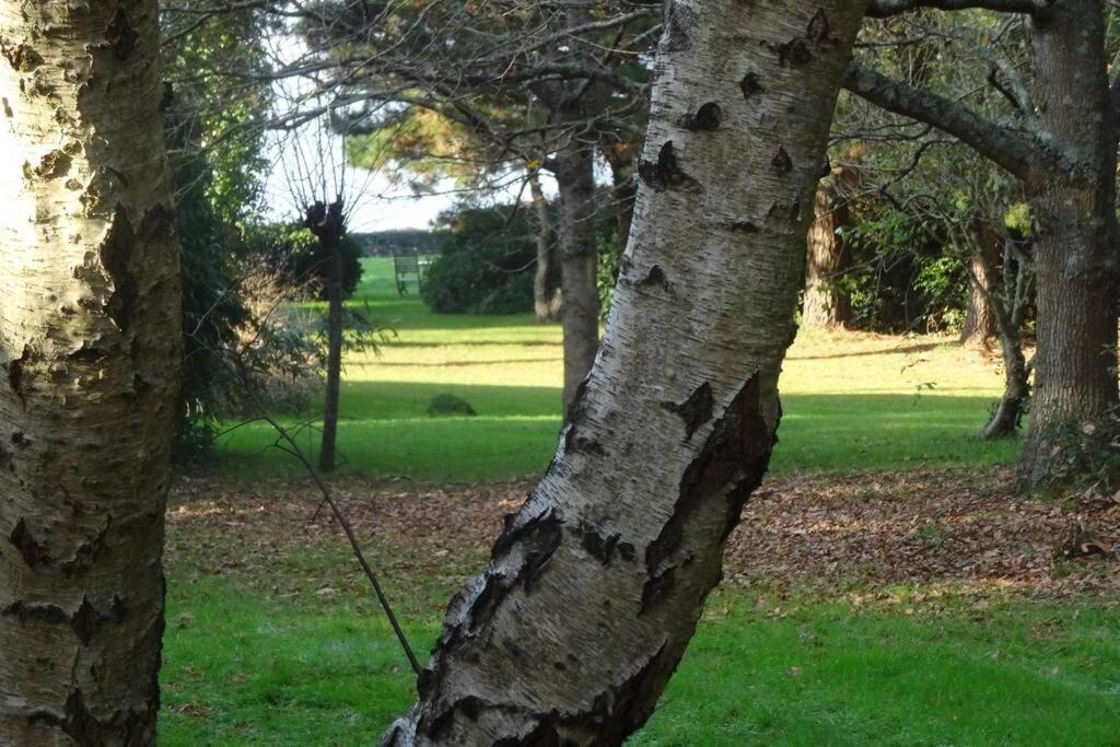 Ty Too, Dans Les Bois, Face Mer Pénestin Dış mekan fotoğraf